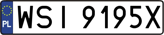WSI9195X
