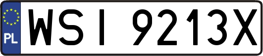 WSI9213X