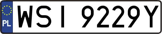 WSI9229Y