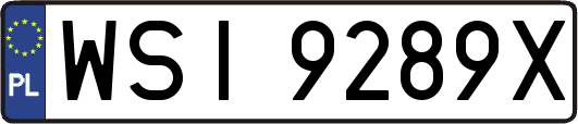 WSI9289X