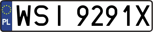 WSI9291X