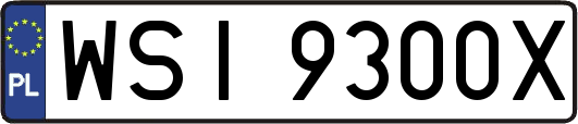 WSI9300X