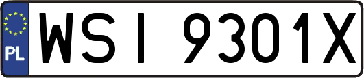 WSI9301X