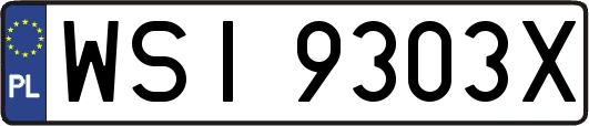 WSI9303X