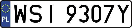 WSI9307Y
