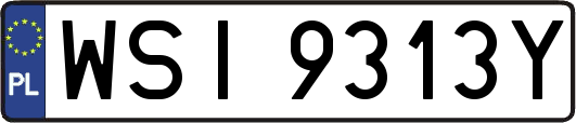 WSI9313Y