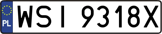 WSI9318X