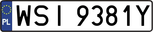 WSI9381Y