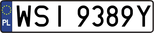 WSI9389Y
