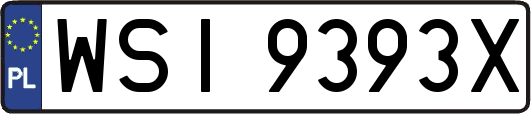 WSI9393X