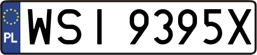 WSI9395X