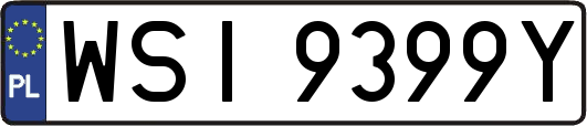 WSI9399Y