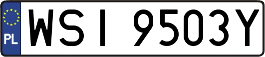 WSI9503Y