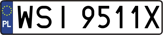 WSI9511X