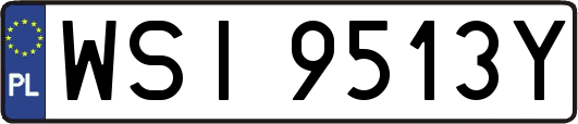 WSI9513Y