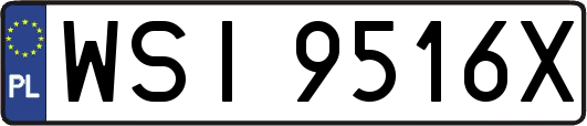 WSI9516X