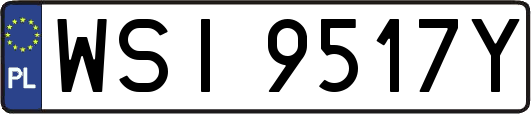WSI9517Y