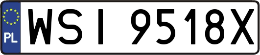 WSI9518X