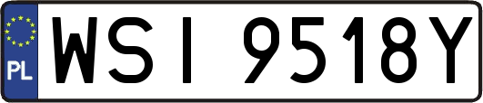 WSI9518Y