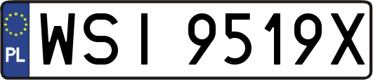 WSI9519X