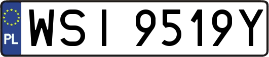 WSI9519Y