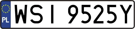 WSI9525Y
