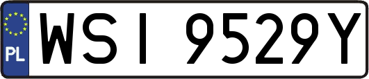 WSI9529Y