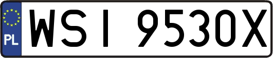 WSI9530X