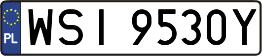 WSI9530Y