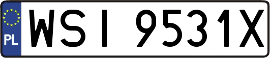 WSI9531X