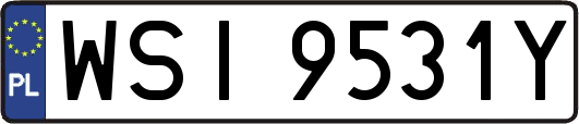 WSI9531Y