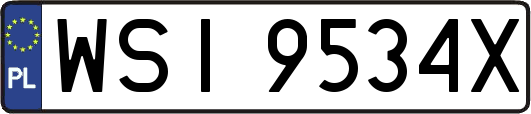 WSI9534X