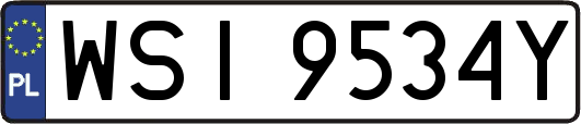 WSI9534Y