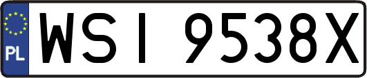 WSI9538X