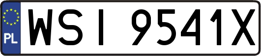 WSI9541X