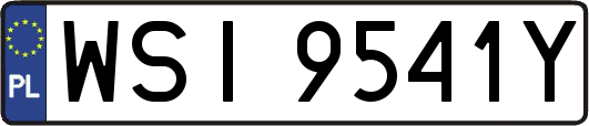WSI9541Y