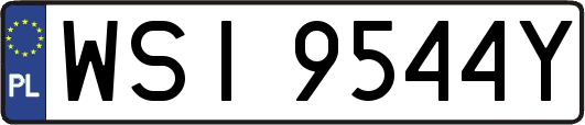 WSI9544Y