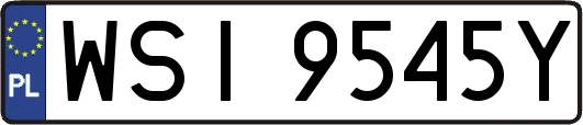 WSI9545Y