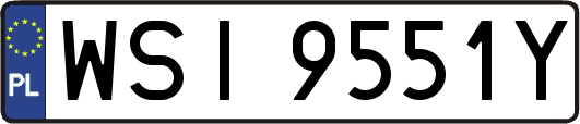 WSI9551Y