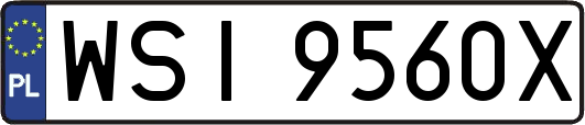 WSI9560X