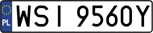 WSI9560Y