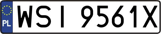 WSI9561X