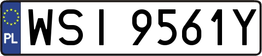 WSI9561Y