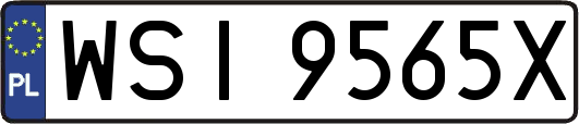 WSI9565X