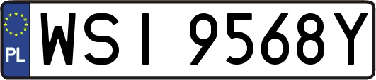 WSI9568Y