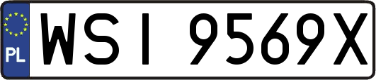 WSI9569X