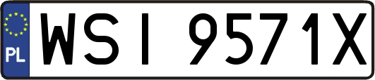 WSI9571X