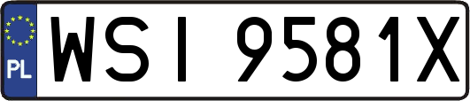 WSI9581X