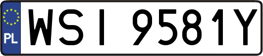 WSI9581Y