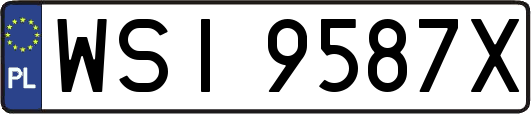 WSI9587X